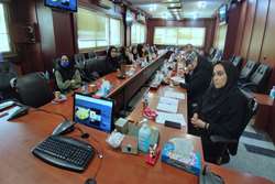 برگزاری دومین  کارگاه تخصصی مداخلات مصرف مواد، الکل و دخانیات برای روانشناسان مراکز خدمات جامع سلامت شهرستان اسلامشهر